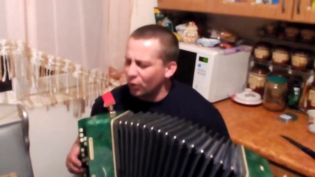 Божья коровка - Гранитный камушек (игра на баяне) смотреть онлайн