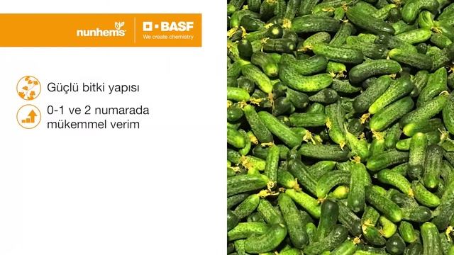 Proscore F1 смотреть онлайн