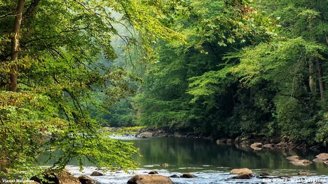 Uplifting Bluegrass Banjo & Fiddle Music | Scenic Appalachian Mountains Travel Video