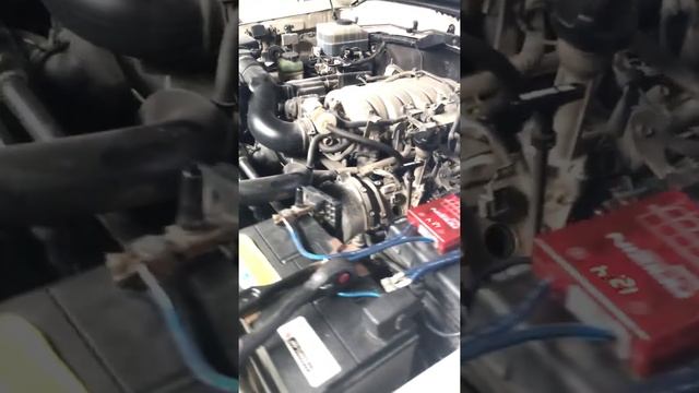 Шок ! Тойота Сигнус ☘️Eco-Auto смотреть онлайн