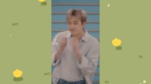 Самые новые видео группы Stray Kids в Tik Tok