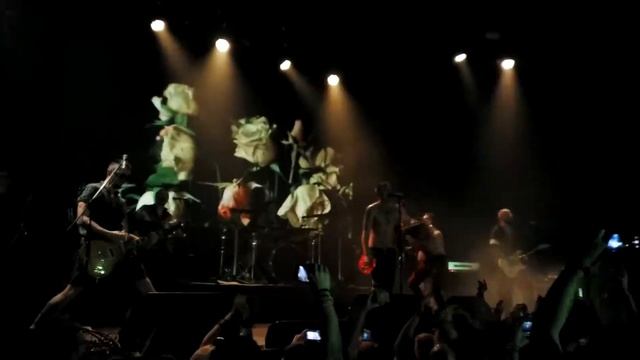 Good Times - Маракасы смотреть онлайн