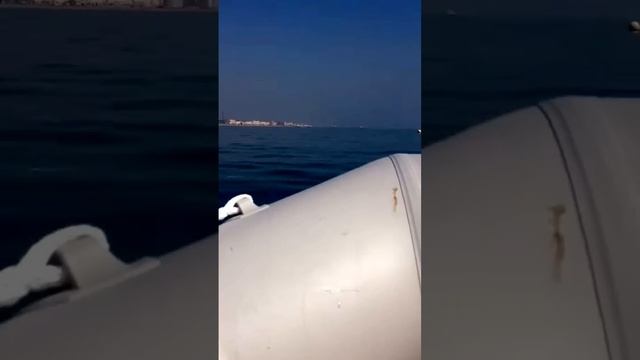 Waveline 2.9 With 9.9 hp worthing смотреть онлайн