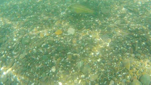 #Крым #Судак #Море Супер