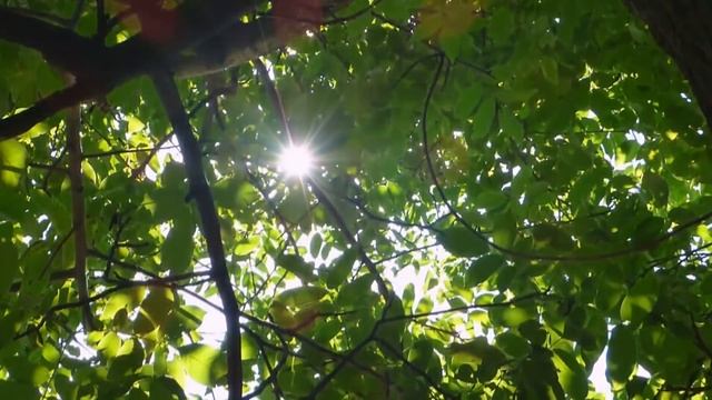 Релаксация_с_голосом__Аутотренинг_для_успокоения_нервной_сис.MP4 смотреть онлайн