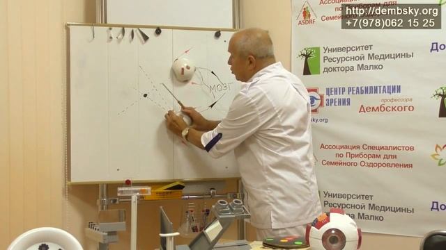 Что такое аккомодационное косоглазие. Все показано на схеме. Как без операции помочь смотреть онлайн