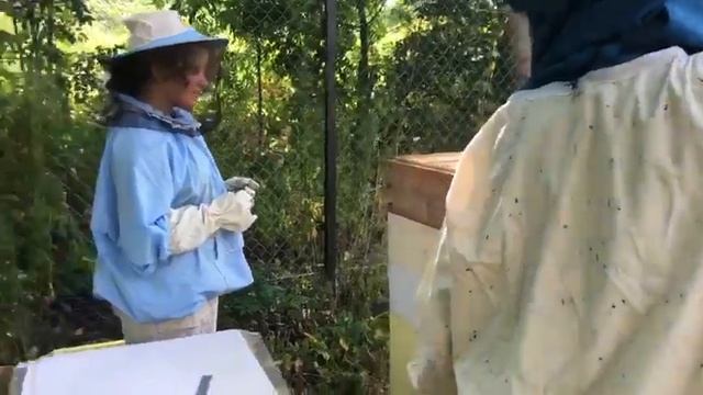 Осмотр магазинов на наличие меда. смотреть онлайн