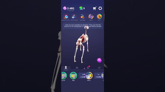 Idle Pet CAT Full Evolution [Completed] смотреть онлайн