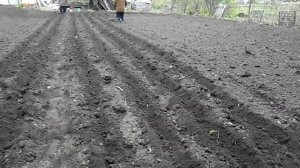 #1. Супер быстрая посадка огорода картошки.Супер Рало. Ручная картофелесажалка.