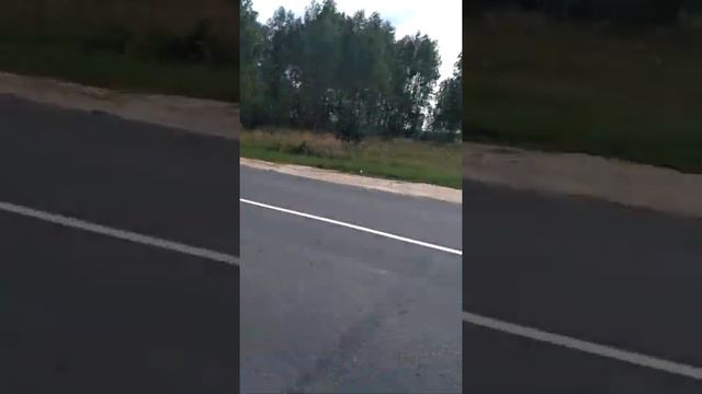 Колонка Denn Dbs 815 смотреть онлайн