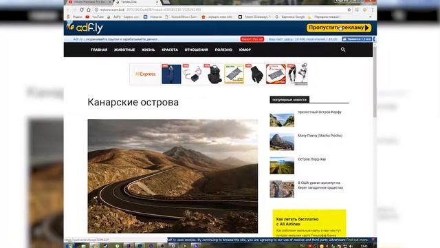 Что такое AdFly и как оно работает смотреть онлайн