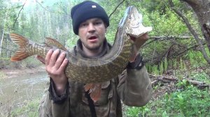 Охота и Рыбалка ВЫЖИВАНИЕ в девственной ТАЙГЕ Лес Поход Сибирь Медведь, Тайга, Хариус, Таймень 2018