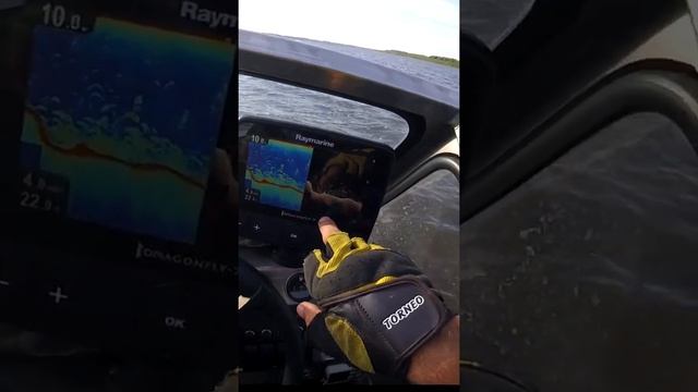 Raymarine Dragonfly 7 PRO | ОБЗОР ЭХОЛОТА #SHORTS смотреть онлайн
