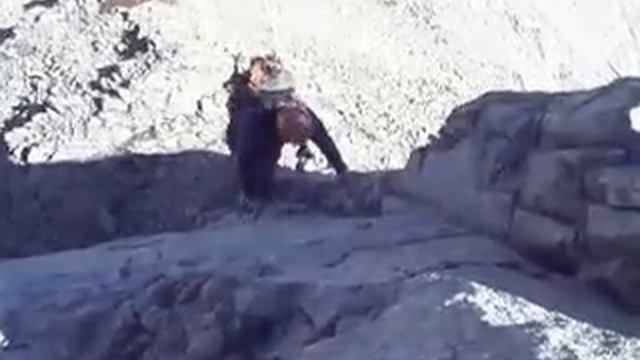 Scramble between McDougal and Volcano Mountains, Kananaskis смотреть онлайн