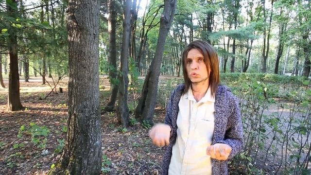 Каштан настоящий I Castanea sativa смотреть онлайн