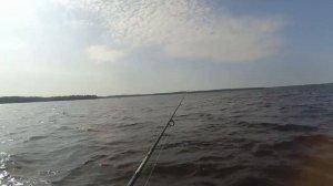 Карелия Водлозеро. Рыбалка на судака.