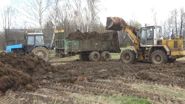 МТЗ 1221 на внесении органики. Новый разбрасыватель МТУ-18.