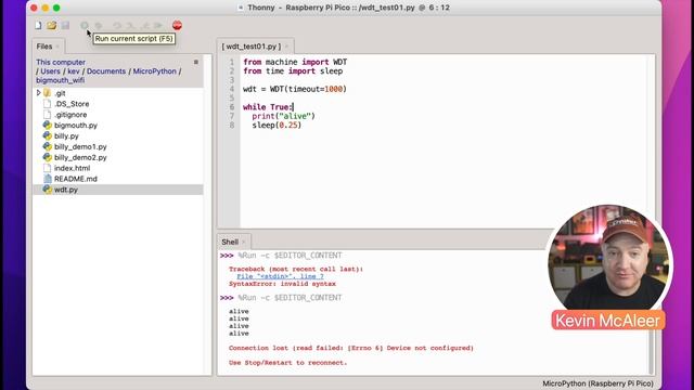 Watchdog Timer - What is it, and how to use it in MicroPython смотреть онлайн