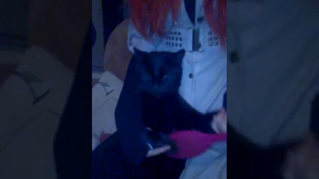 Кашак грибоед,! смотреть онлайн