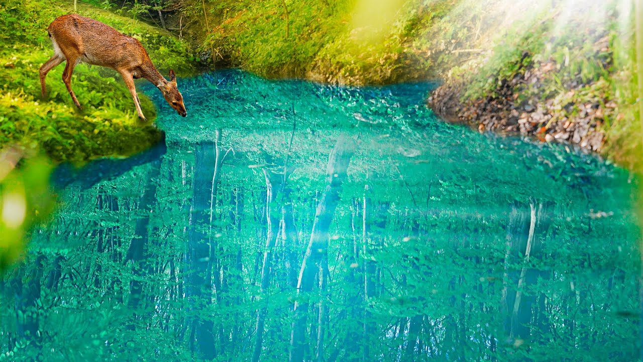 У ИГОРЯ ВОТ ЧТО СЛУЧИЛОСЬ С НАШИМ ПРУДОМ СПУСТЯ 9 МЕСЯЦЕВ смотреть онлайн