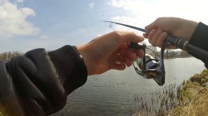 Обзор спиннинга Maximus ADVISOR. Подойдет для джига или нет.