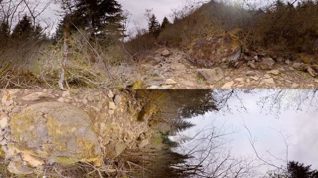360° mountain bike: Follow the Leader Trail @ Sandy Ridge смотреть онлайн