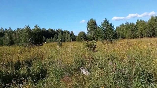 Участок в 1 гектар смотреть онлайн
