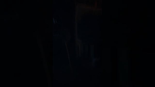 Первая ночь на даче смотреть онлайн