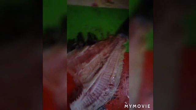 Камбала !)) смотреть онлайн