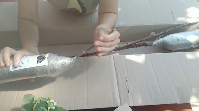 Отзыв Агромаркет (відгук) красномясая яблоня , ампельная клубника смотреть онлайн