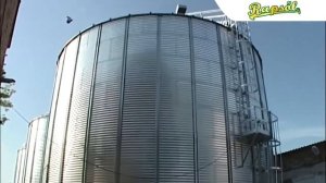 РАПСОВОЕ МАСЛО. ВСЯ ПРАВДА О ПРОИЗВОДСТВЕ.