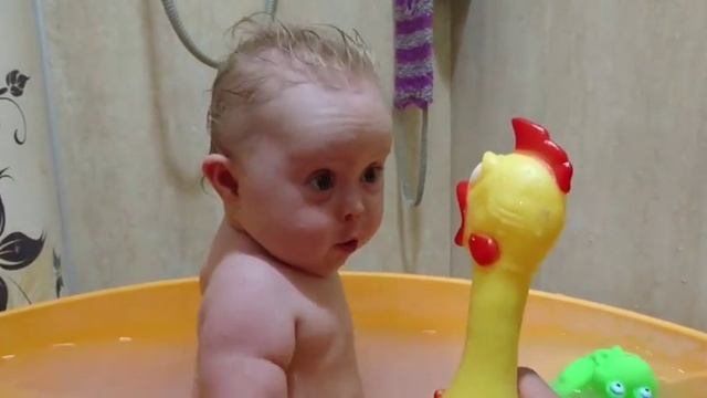 Squeeker crazy chicken / как заткнуть тупую курицу смотреть онлайн