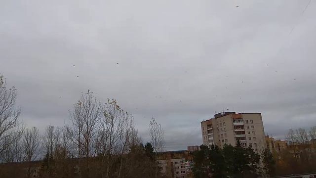 От ворон рябит в глазах смотреть онлайн