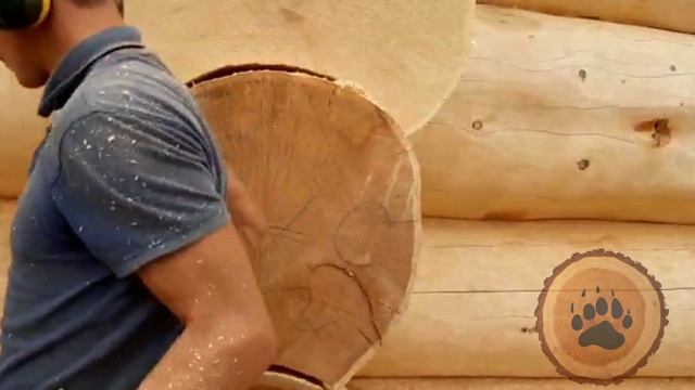 TaigaLogHomes.20.06.mp4