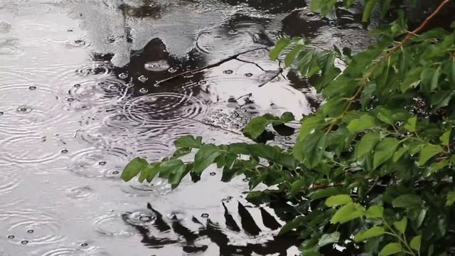 Раскат грома и звуки дождя ,ливня смотреть онлайн