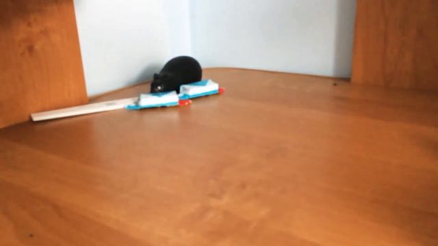 ХОРОРЕК В КОМЕ!!!!!!!! ГЕННАДИЙ ПЕТРОВИЧ ОПЯТЬ НАПАЛ!!!!! НОВЫЙ ГЕРОИ ЯЩЕРИЦЫ!!!!!!!!!! смотреть онлайн