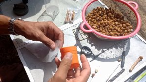 Монтаж оснастки на карпа с тигровым орехом с пробкой внутри