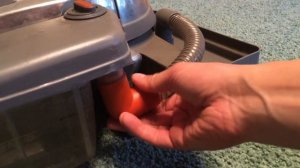 Мастер-класс по чистке ковров