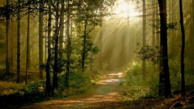 Грустный день-Автор Юлия Смирнова. смотреть онлайн