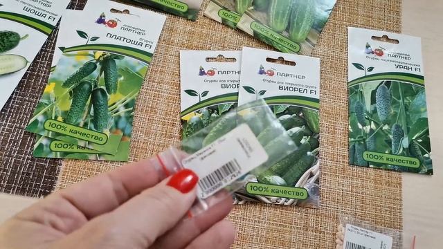 Огурцы, которые посажу в следующем сезоне. Мои фавориты и новинки. Что сделаю со старыми семенами