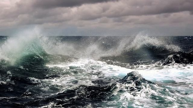 31 октября- Всемирный день Чёрного моря смотреть онлайн