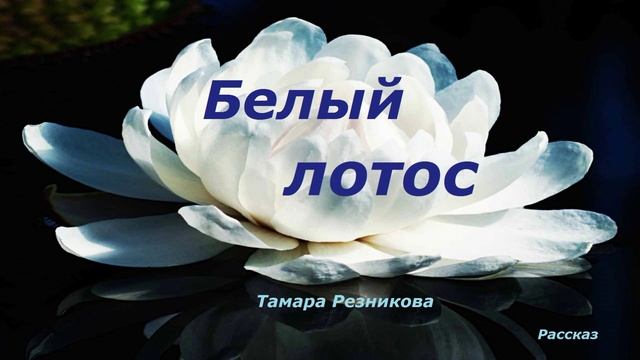 Белый лотос.. (рассказ)