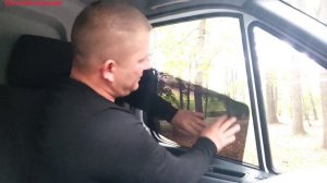 Съёмная жёсткая тонировка 5%