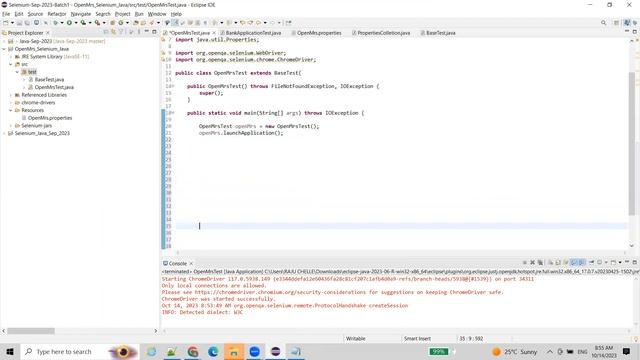 Selenium-Java-Day28 (Basic Automation Test Script) смотреть онлайн