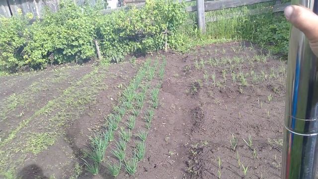 купил печку для полатки "Берег Зима -Лето". смотреть онлайн