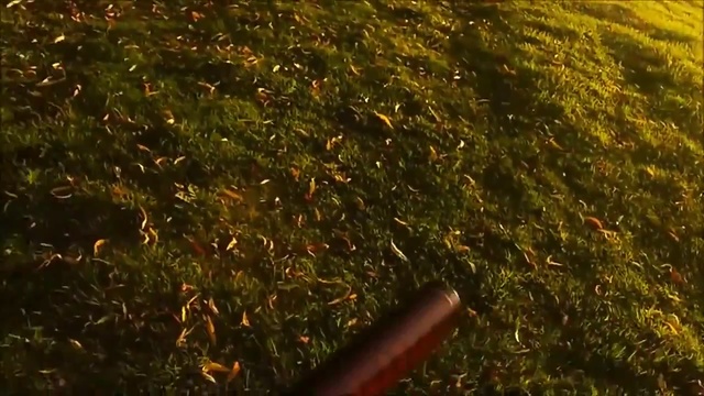 И трофей и обед. Охота на лису и гуся. смотреть онлайн