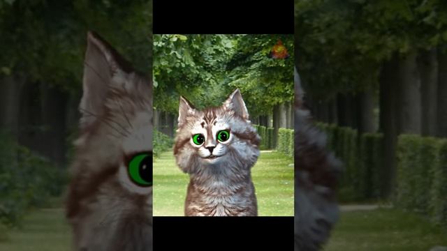 Метод метронома: Революционный подход к медитации без усилий смотреть онлайн