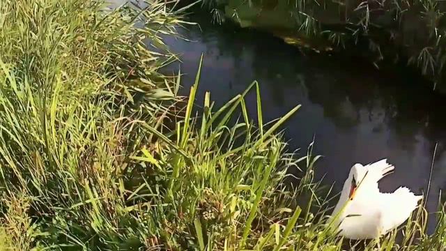 ДРОЖАЛИ РУКИ КОГДА ДОСТАЛ. ПОИСКОВЫЙ МАГНИТ смотреть онлайн