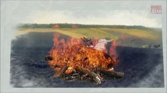 Из-за курения трескается зубная эмаль смотреть онлайн