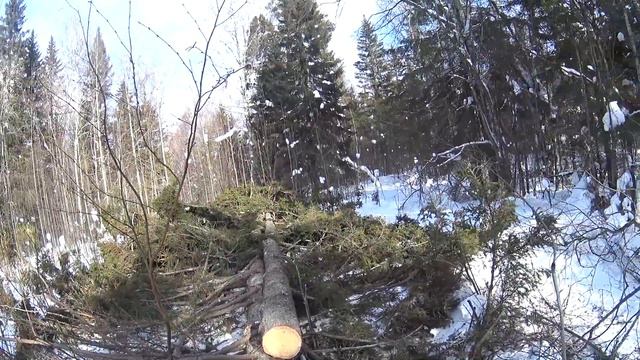 ЛЕС 2 серия/как добывают ЛЕС/Кирюха Бак смотреть онлайн